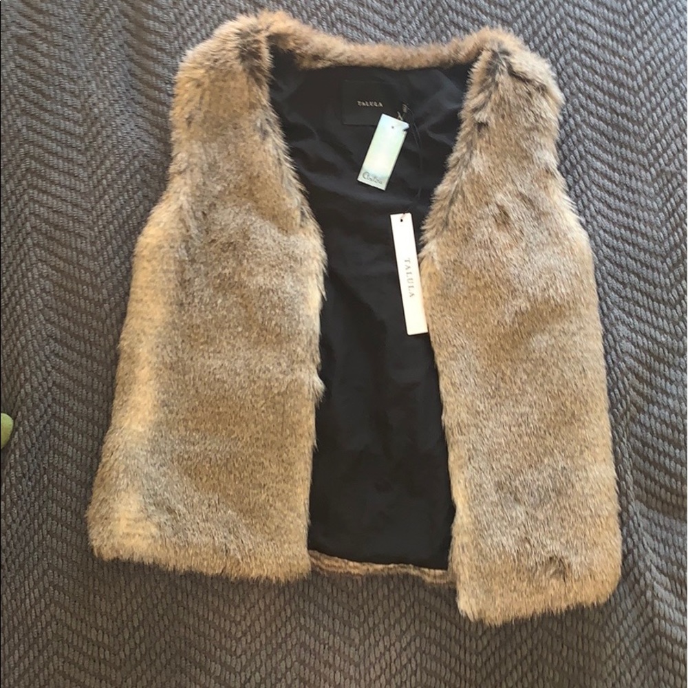 Aritzia park slope vest
